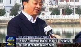 黄陂最新爆料新闻事件,揭秘XX事件背后真相