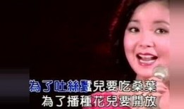 天涯爆料邓丽君视频播放,邓丽君珍贵视频曝光，重温永恒的歌声与微笑