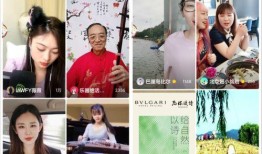 爆料嫩豆干直播视频,一场视觉与味蕾的双重盛宴