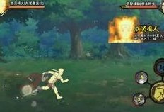 九尾最新爆料视频大全集,揭秘幕后真相与精彩瞬间