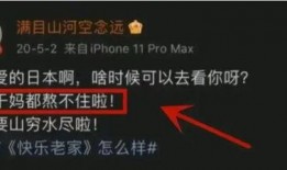 什么是内鬼爆料呢视频,揭秘企业内部秘密的神秘力量