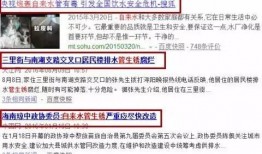 爆料给玉环新闻,独家爆料揭示惊人内幕！