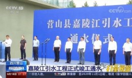 营山新闻爆料中心,聚焦民生，传递正能量