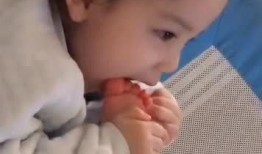 熊孩子直播爆料视频大全,爆笑视频大全集锦