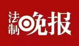爆料给玉环新闻,独家爆料揭示惊人内幕！