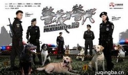 警花与警犬2在线观看,默契搭档再出击，热血侦破新篇章