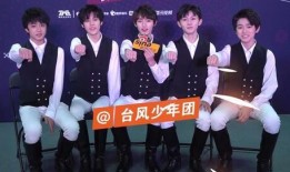 台风少年互相爆料视频大全,兄弟情谊与成长瞬间