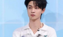 辛雨锡爆料秦霄贤事件最新进展,最新进展揭秘！