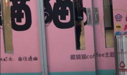 大连万达广场爆料视频,揭秘繁华背后的秘密