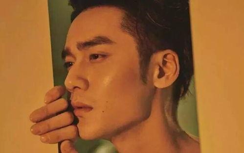 娱乐吃瓜君郭老事,揭秘娱乐圈背后的“吃瓜”故事